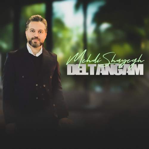 آهنگ مهدی شایق دلتنگم